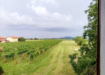 Foto 11 - Rustico Via dei Conventi
 
2, Farra d'Isonzo - foto 11