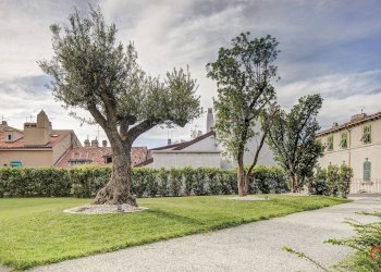 Foto 25 - Quadrilocale via Giustinelli
 
13, Trieste - foto 25