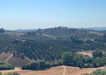 Foto 71 - Villa CONTRADA COLLE DI GIOGO
 
72, Moscufo - foto 71