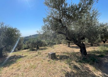 Foto 76 - Villa CONTRADA COLLE DI GIOGO
 
72, Moscufo - foto 76