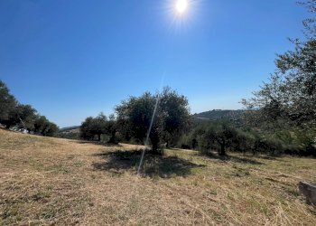 Foto 77 - Villa CONTRADA COLLE DI GIOGO
 
72, Moscufo - foto 77