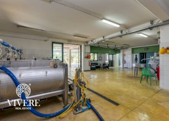 Foto 44 - Farm Via San Paolo, San Donato Val di Comino - photo 44