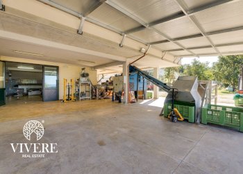 Foto 48 - Farm Via San Paolo, San Donato Val di Comino - photo 48