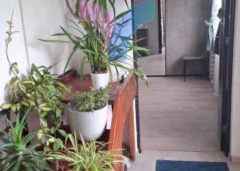 Foto 11 - Independent house via strada di ponzano
 
26, Ponzano Veneto - photo 11