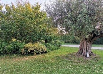 Foto 34 - Villa Via Seragnoli, Bologna - foto 34