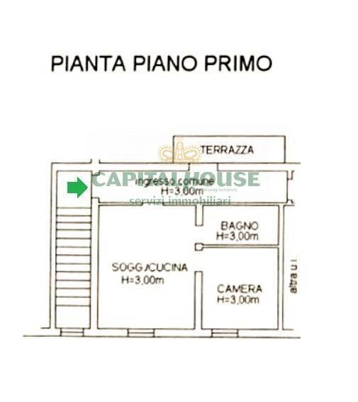 Foto 21 - Appartamento Via Tartagni, Bologna - planimetria 1