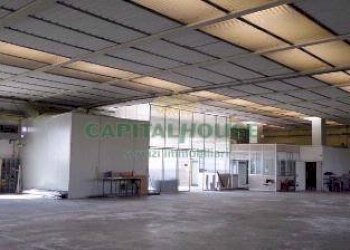 Foto 9 - Capannone Via Sant'Alberto, San Pietro in Casale - foto 9