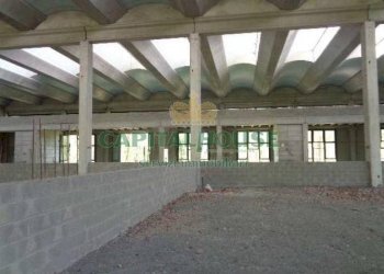 Foto 5 - Capannone Via Moletolo, Parma - foto 5