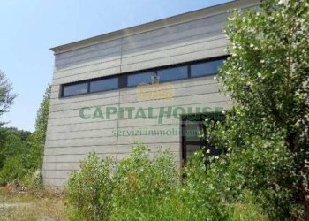 Foto 10 - Capannone Via Moletolo, Parma - foto 10