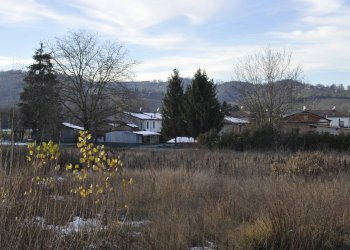 Foto 16 - Terreno edificabile Via Paolo Borsellino, Felino - foto 16