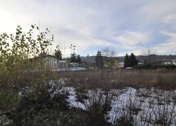 Foto 27 - Terreno edificabile via Paolo Borsellino, Felino - foto 27