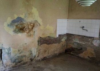 Foto 19 - Rustico strada a. margherita, Fidenza - foto 19