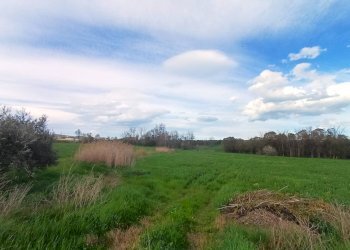 Foto 3 - Terreno edificabile sp22a, Notaresco - foto 3