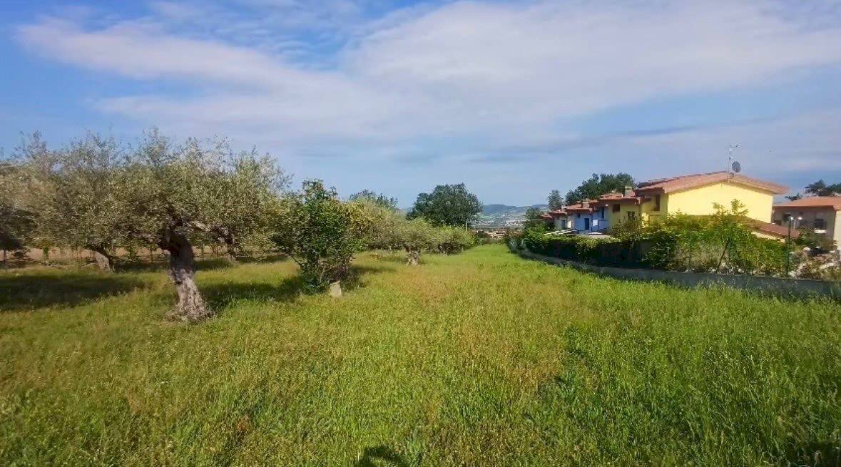 Foto 1 - Terreno edificabile Viale Colli
 
snc, Rosciano - foto 1