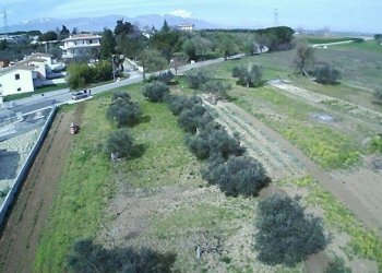 Foto 7 - Terreno edificabile Viale Colli
snc, Rosciano - foto 7