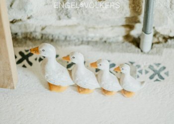 Foto 44 - Rustico Contrada Pagliarone
 
snc, Penne - foto 44