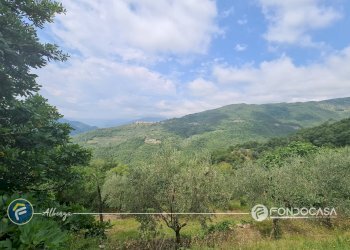 Foto 12 - Rustico Via Costa, Onzo - foto 12