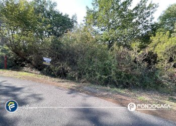 Foto 1 - Terreno agricolo via Bono e Martino, Villanova d'Albenga - foto 1