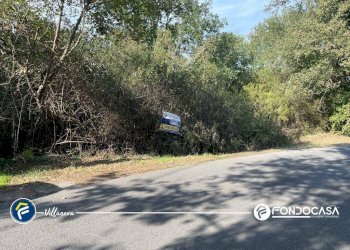 Foto 2 - Terreno agricolo via Bono e Martino, Villanova d'Albenga - foto 2