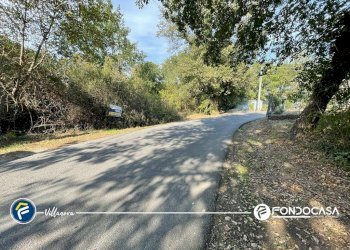 Foto 4 - Terreno agricolo via Bono e Martino, Villanova d'Albenga - foto 4