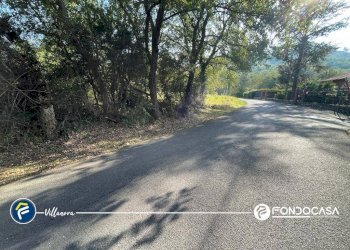 Foto 5 - Terreno agricolo via Bono e Martino, Villanova d'Albenga - foto 5