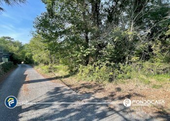 Foto 6 - Terreno agricolo via Bono e Martino, Villanova d'Albenga - foto 6