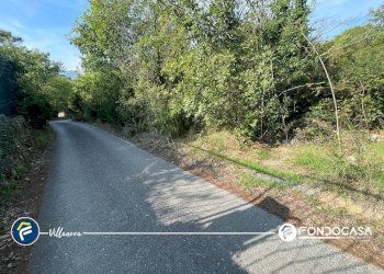 Foto 7 - Terreno agricolo via Bono e Martino, Villanova d'Albenga - foto 7