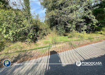 Foto 8 - Terreno agricolo via Bono e Martino, Villanova d'Albenga - foto 8