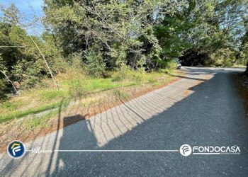 Foto 9 - Terreno agricolo via Bono e Martino, Villanova d'Albenga - foto 9