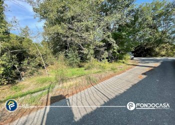 Foto 10 - Terreno agricolo via Bono e Martino, Villanova d'Albenga - foto 10