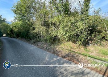 Foto 11 - Terreno agricolo via Bono e Martino, Villanova d'Albenga - foto 11