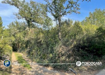 Foto 12 - Terreno agricolo via Bono e Martino, Villanova d'Albenga - foto 12