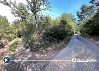 Foto 14 - Terreno agricolo via Bono e Martino, Villanova d'Albenga - foto 14