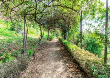 Foto 35 - Villa strada Cascina Giocco
 
1, Biella - foto 35