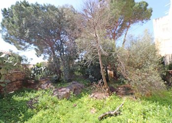 Foto 16 - Casa semi indipendente Via Balilla
 
21, La Maddalena - foto 16