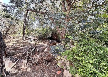 Foto 56 - Casa semi indipendente Via Balilla
 
21, La Maddalena - foto 55