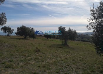 Foto 1 - Terreno edificabile loc. Civita
 
snc, Colonnella - foto 1