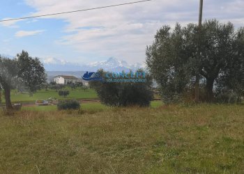 Foto 6 - Terreno edificabile loc. Civita
 
snc, Colonnella - foto 6