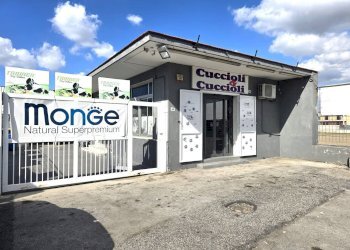 Foto 3 - Attività Commerciale Crispano - foto 3