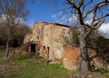 \nFoto\n - Rustic Montepulciano - photo 4