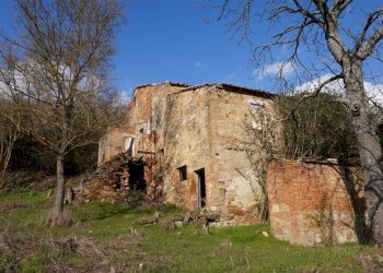 \nFoto\n - Rustic Montepulciano - photo 8