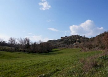 \nFoto\n - Rustic Montepulciano - photo 10