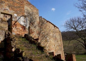 \nFoto\n - Rustic Montepulciano - photo 13
