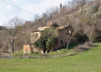 \nFoto\n - Rustic Montepulciano - photo 14