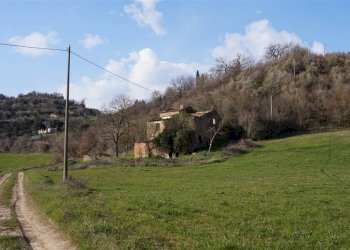 \nFoto\n - Rustic Montepulciano - photo 15
