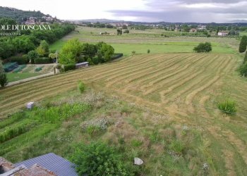 Foto 18 - Rustico Sinalunga - foto 18