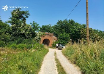 Foto 30 - Rustico Sinalunga - foto 30