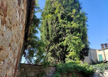 \nFoto\n - Villa Via Bandini, Torrita di Siena - foto 16