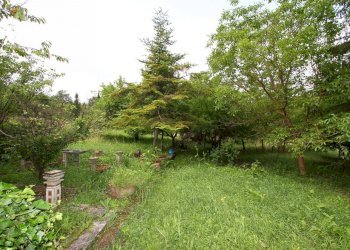 \nFoto 4\n - Casa indipendente Via Madonnino dei Monti
 
2, Trequanda - foto 4