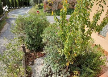 \nFoto 32\n - Appartamento Via delle More, Montalcino - foto 32